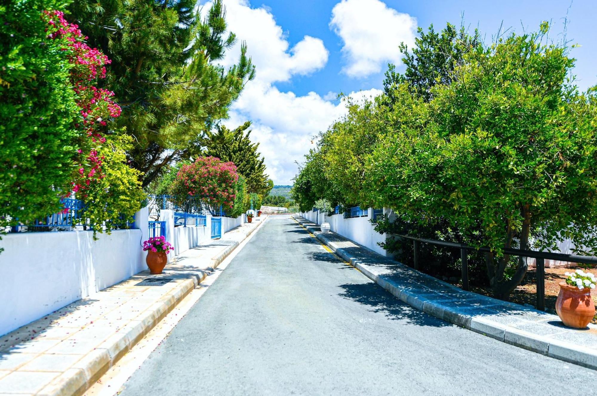 Azzurro Holiday Villas Pegeia Exterior foto